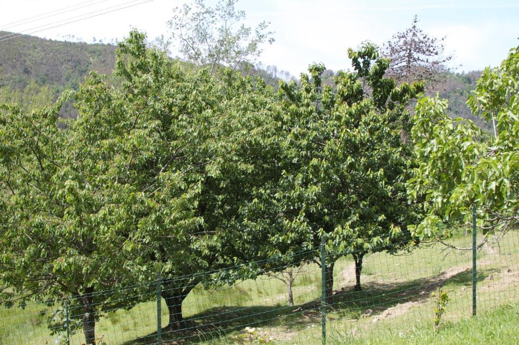 Affittacamere Graziella فيرناتْسا المظهر الخارجي الصورة